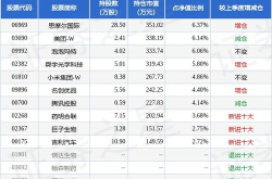 华安优选基金净值查询,投资策略与市场表现深度解读”