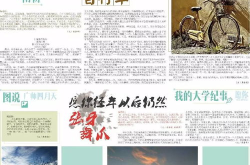 吃瓜娱乐报纸图片,吃瓜群众视角下的明星幕后故事