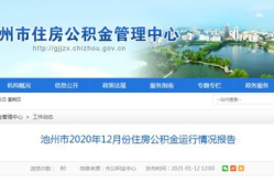 池州市住房公积金查询,便捷途径与注意事项详解